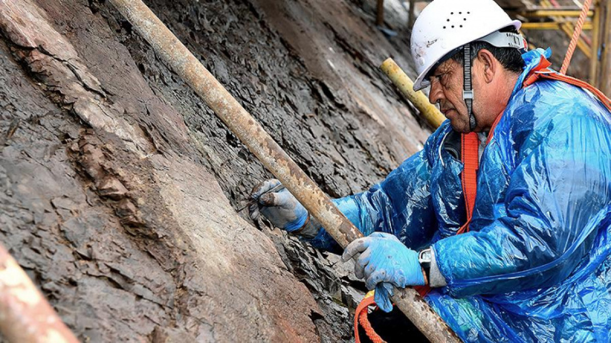 Следы динозавров обнаружили в Тибете