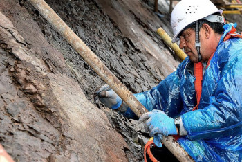 Фотография к новости: Следы динозавров обнаружили в Тибете