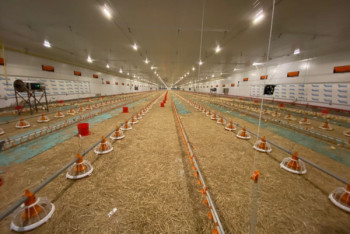 Фотография к новости: На 31 тысячу тонн мяса больше будет производить Макинская птицефабрика