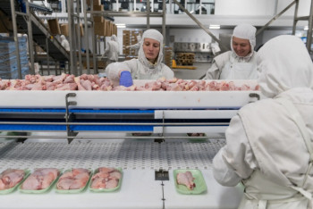 Фотография к новости: Рост объема инвестиций отмечается в Акмолинской области