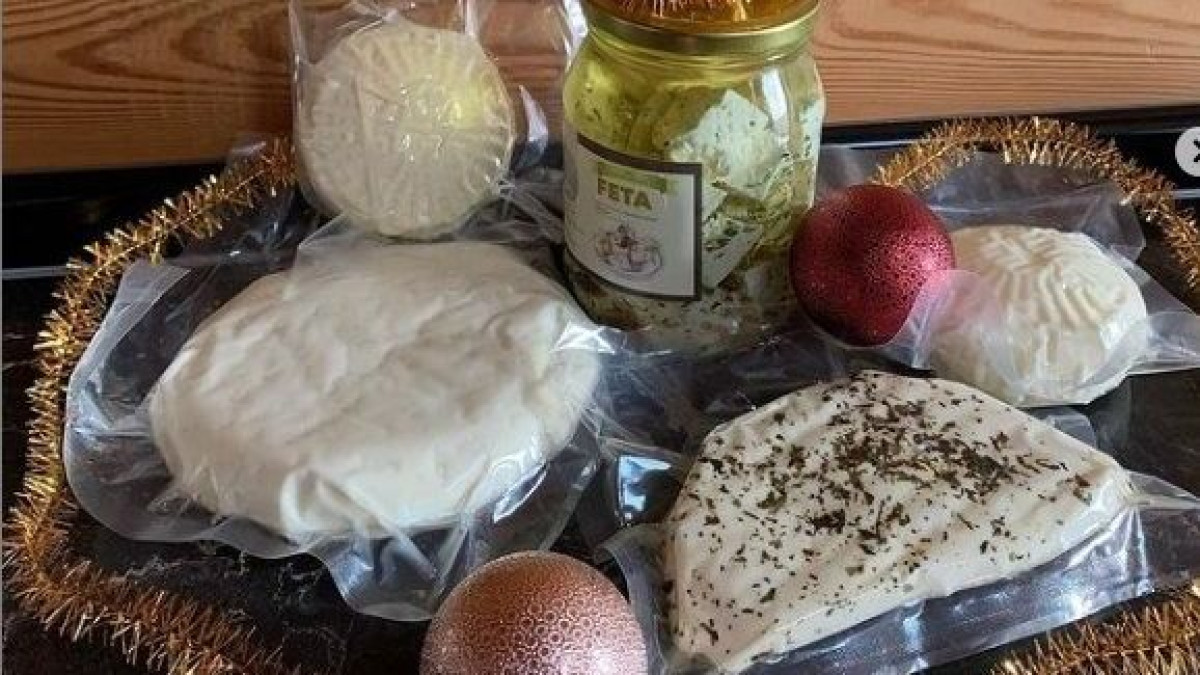 В Акмолинской области заработал цех по производству сыров