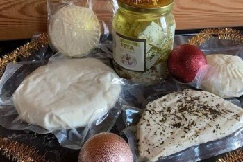 Фотография к новости: В Акмолинской области заработал цех по производству сыров