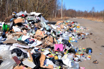 Фотография к новости: Более тысячи обращений по несанкционированным свалкам поступило от казахстанцев