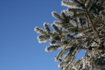 Фотография к новости: Какая погода ожидает казахстанцев 22 декабря