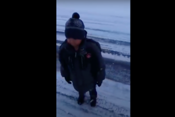 Фотография к новости: Полиция занялась делом ребенка, оставленного на трассе в Алматинской области