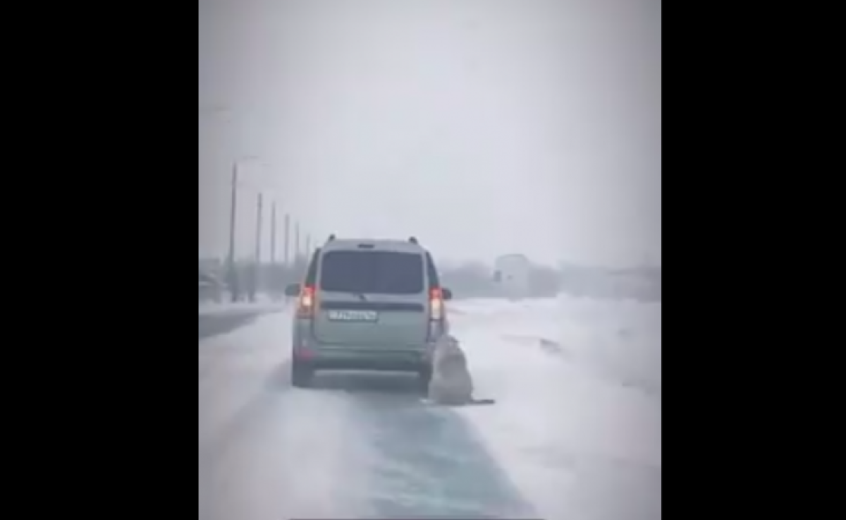 скрин видео