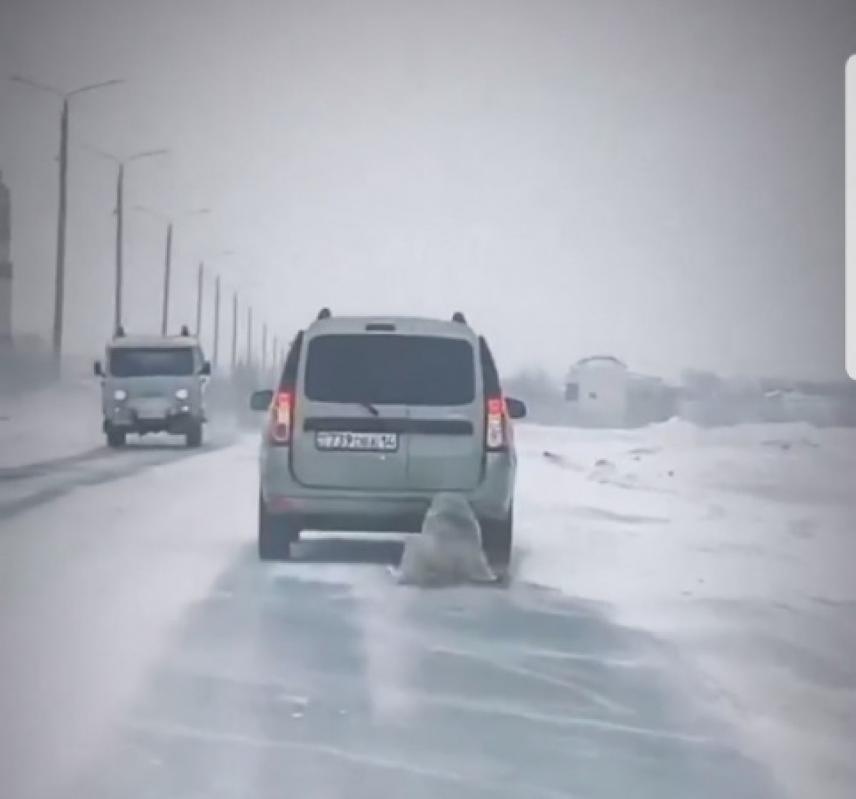 скриншот с видео