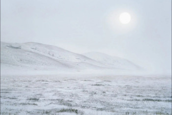 Фотография к новости: Пропавшего пять дней назад парня нашли мертвым в Акмолинской области