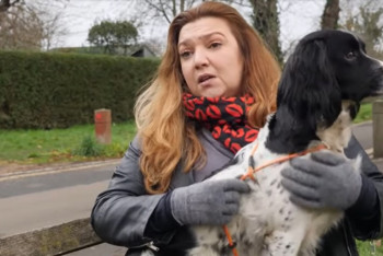 Фотография к новости: Похищения собак участились из-за коронавируса в Великобритании