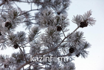 Фотография к новости: Туман ожидается в пяти регионах Казахстана