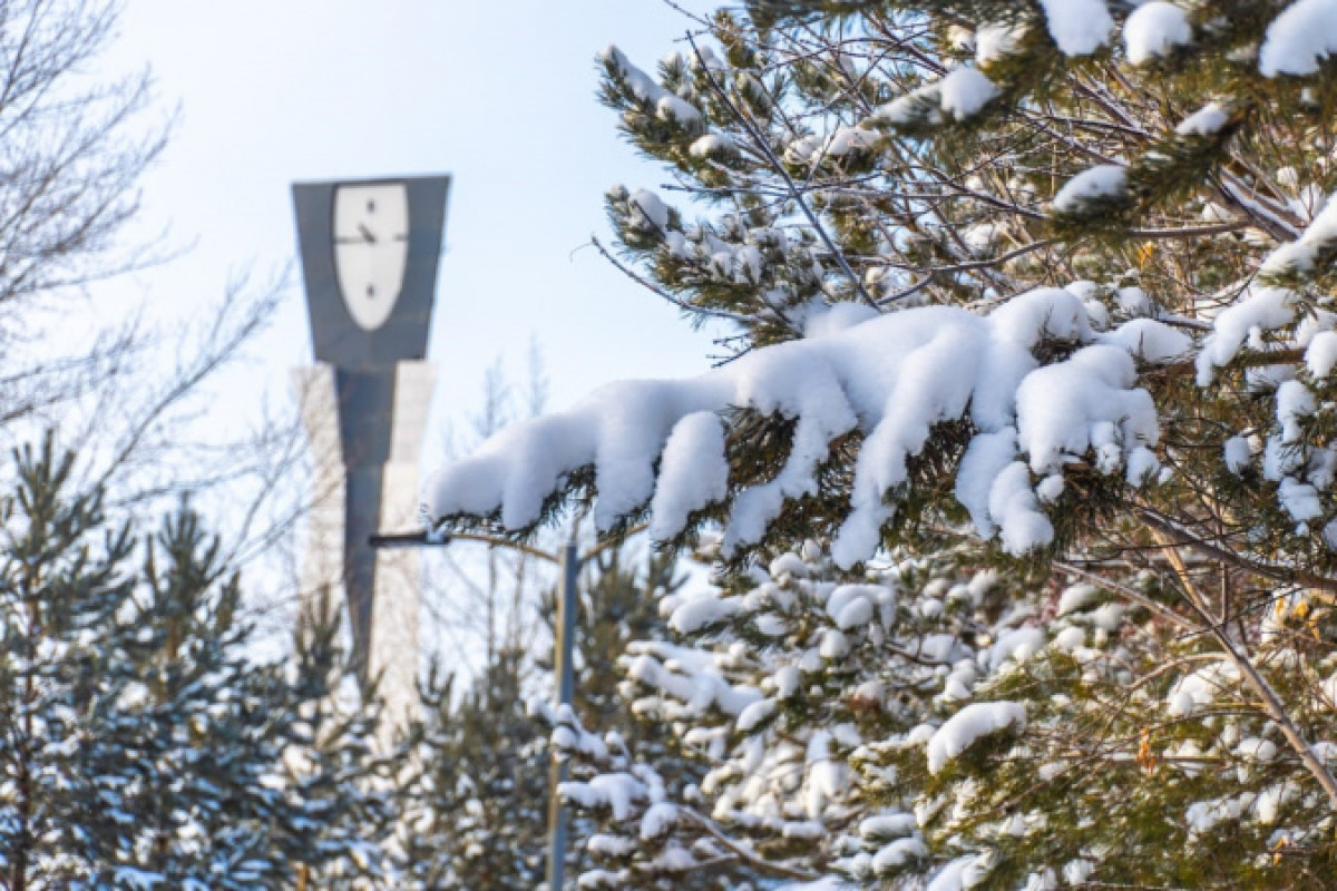 Какая погода ожидается в Казахстане 29 декабря