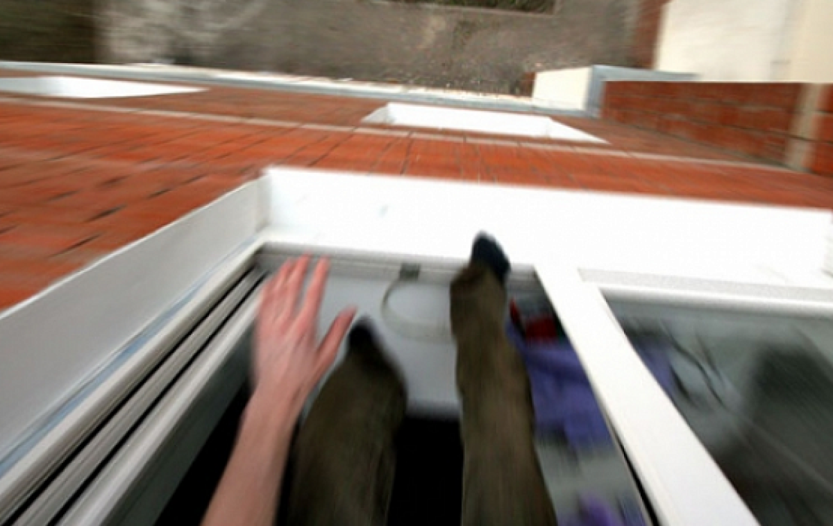 из открытых источников