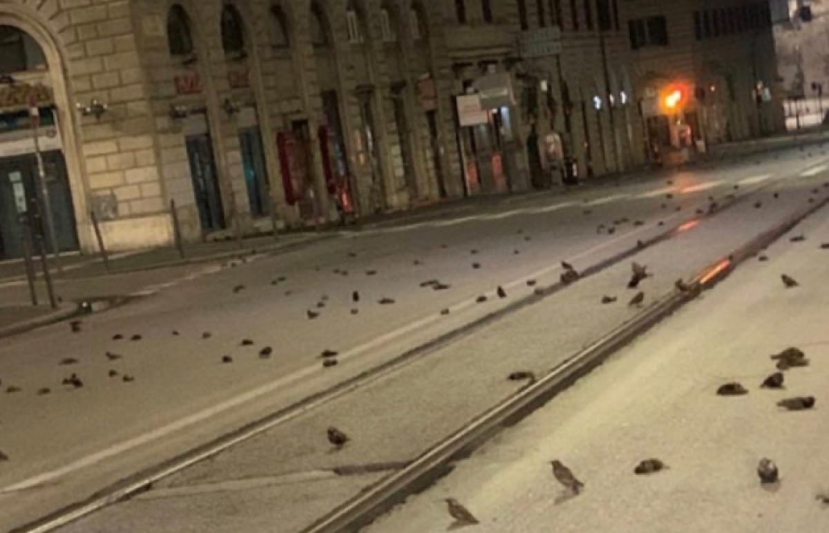 из соцсетей