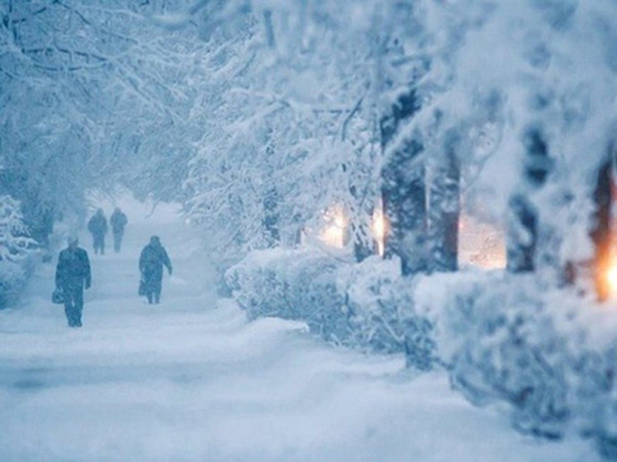 иллюстративное