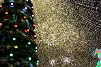 Фотография к новости: В топ-5 самых высоких новогодних елок СНГ вошла "представительница" Казахстана