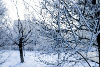 Фотография к новости: Морозная погода ожидается в Казахстане 6 января