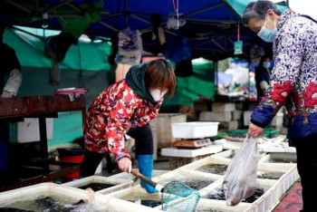 Фотография к новости: Экспертам ВОЗ по коронавирусу не разрешили въезд в Китай