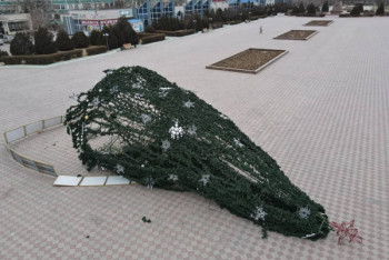 Фотография к новости: Елка рухнула на главной площади Актау