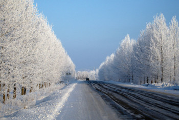 Фотография к новости: Общественному транспорту и авто на дизтопливе запретили выезжать на трассу из Нур-Султана