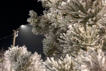 Фотография к новости: Морозная погода ожидается в Казахстане 8 января