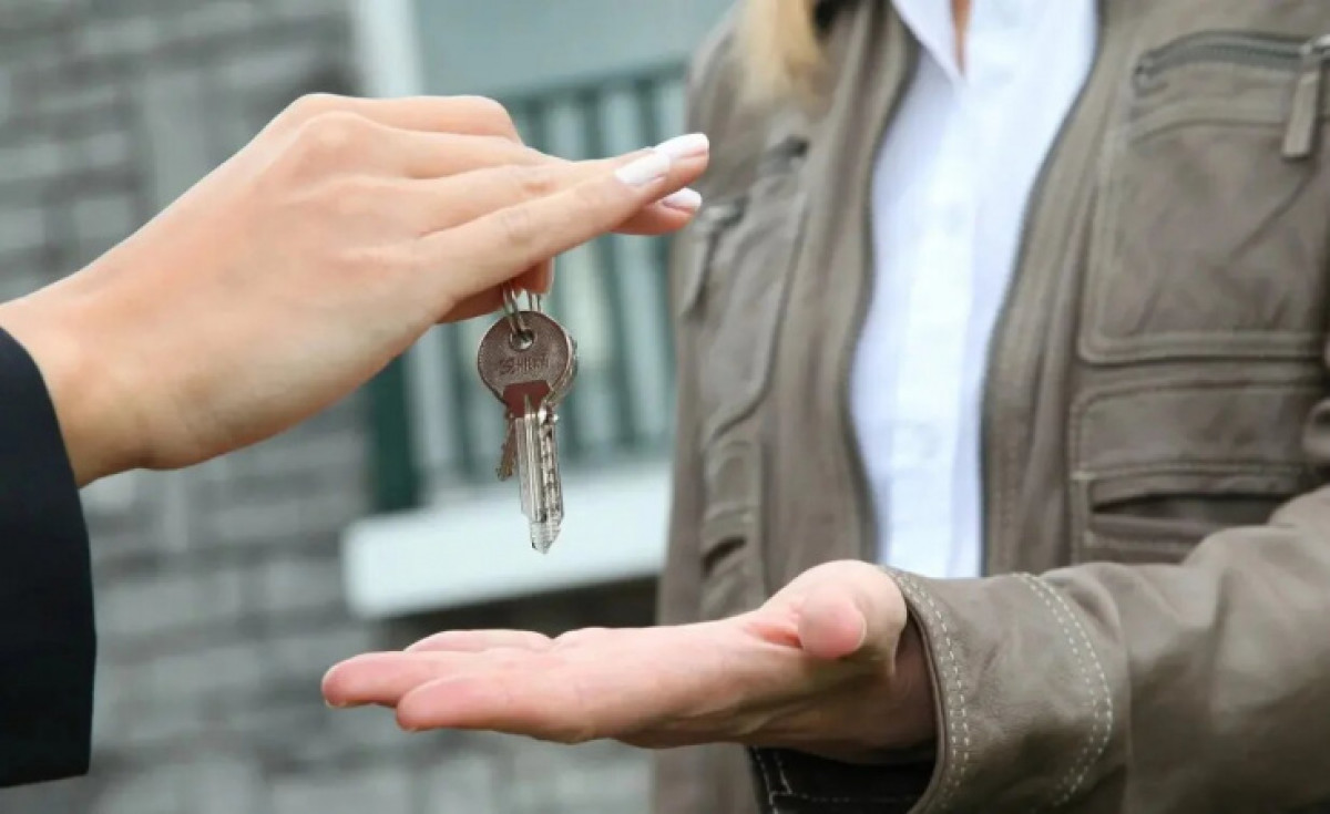 иллюстративное