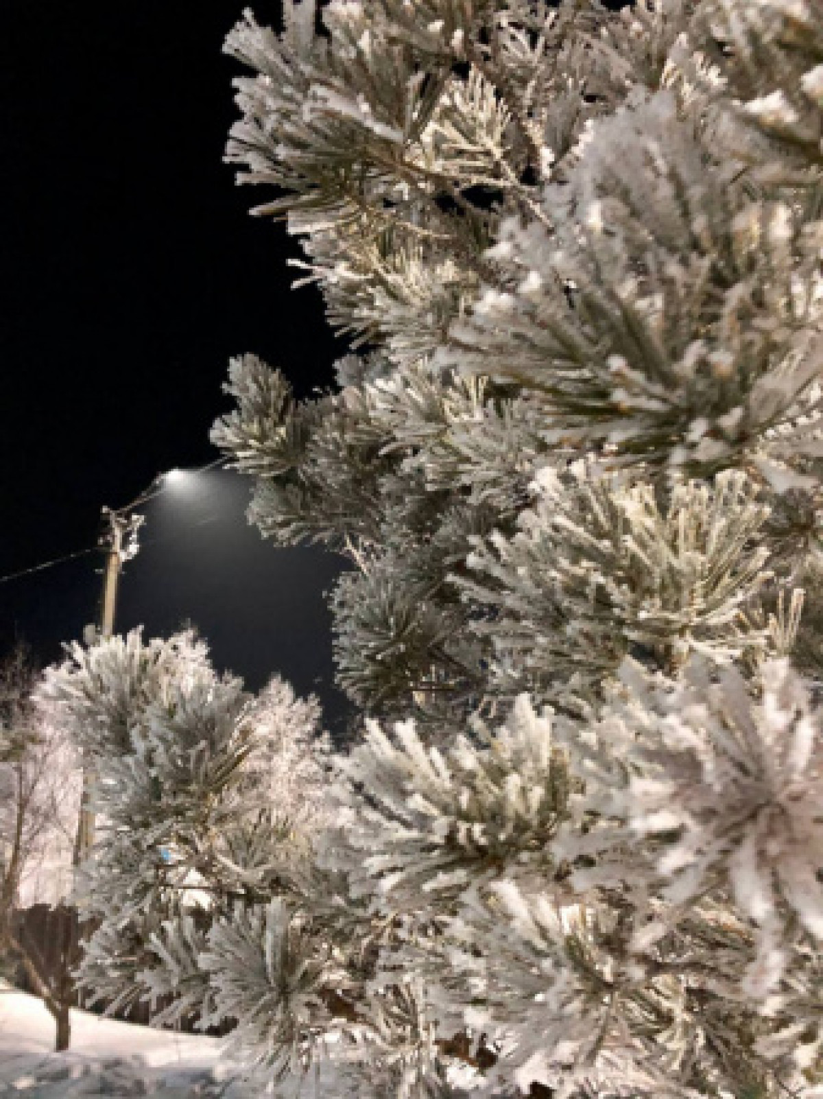 Какая погода ожидает казахстанцев 10 января