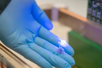 Фотография к новости: Миниатюрный имплант для похудения изобрели в США