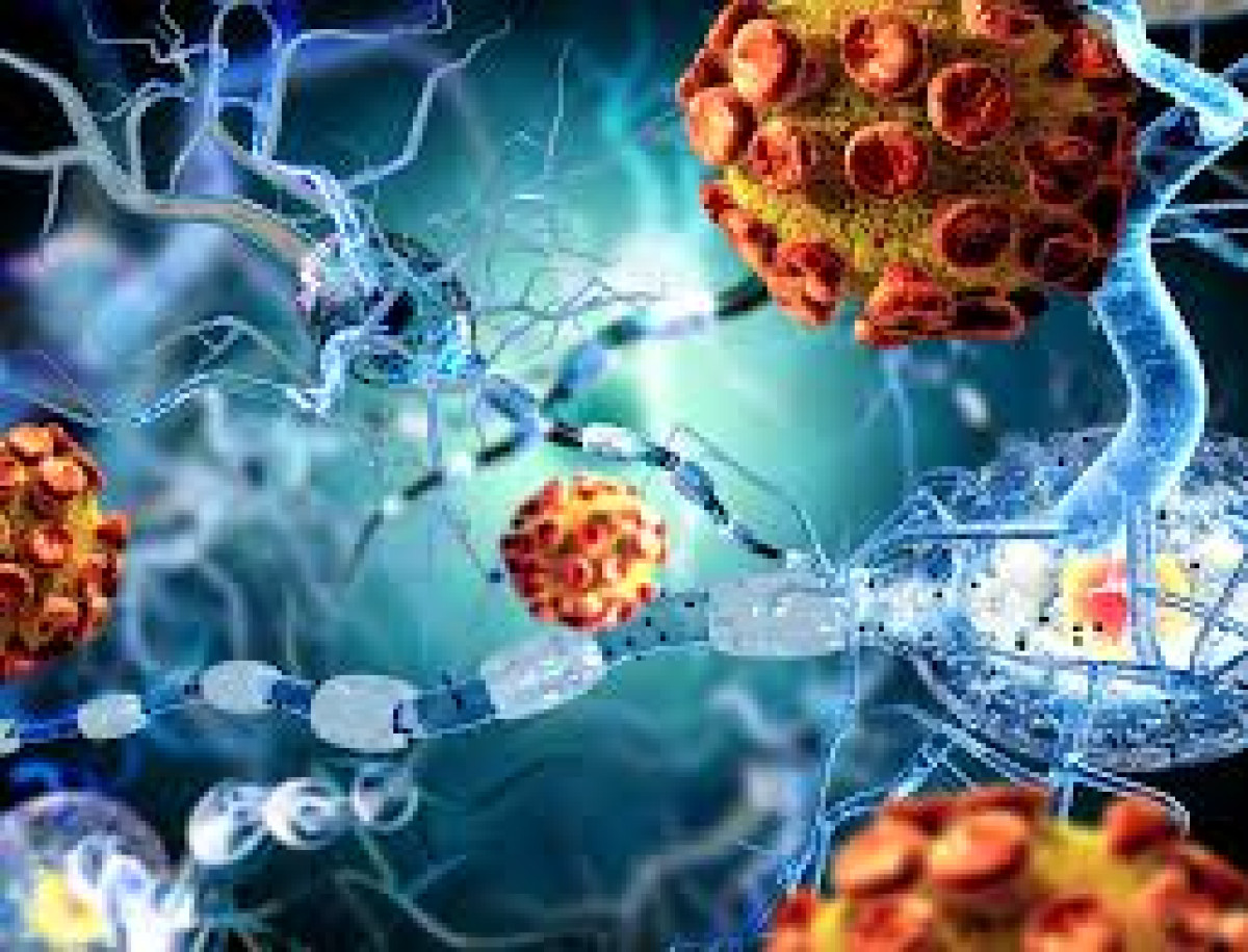 иллюстративное 