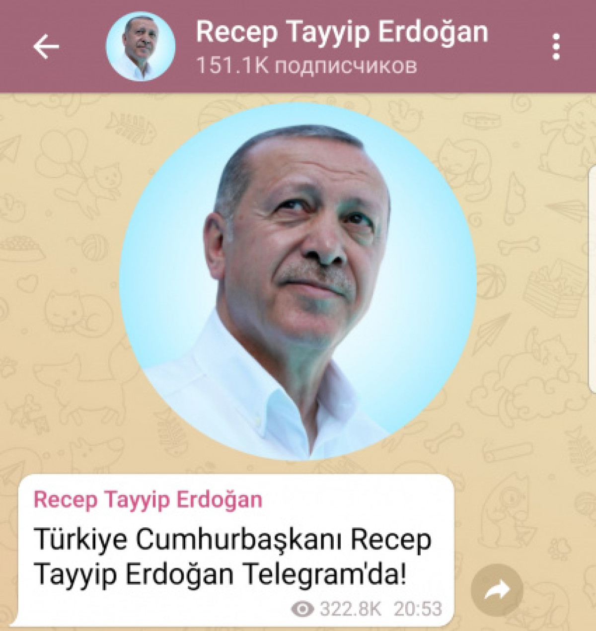 скриншот Telegram-канала президента Турции