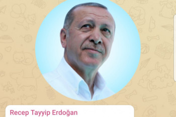 Фотография к новости: Президент Турции завел Telegram-канал и запостил кота