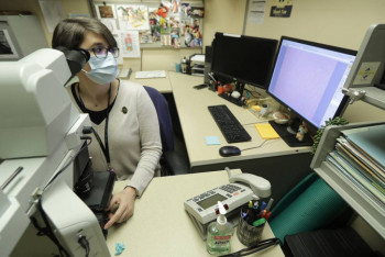 Фотография к новости: Ученые выяснили подробности эволюции коронавируса