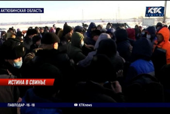 Фотография к новости: Руководство скандальной свинофермы в Бестамаке обвиняют в попытках скрыть улики