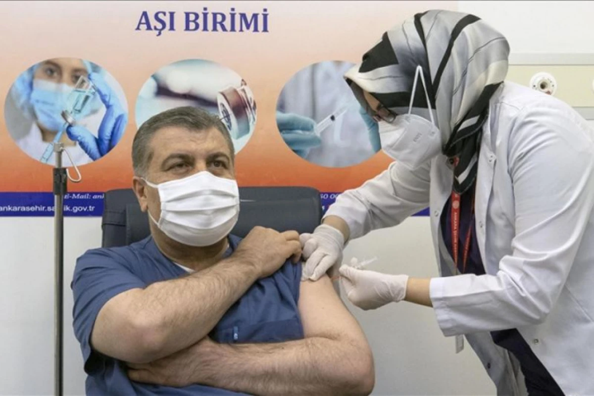 Anadolu