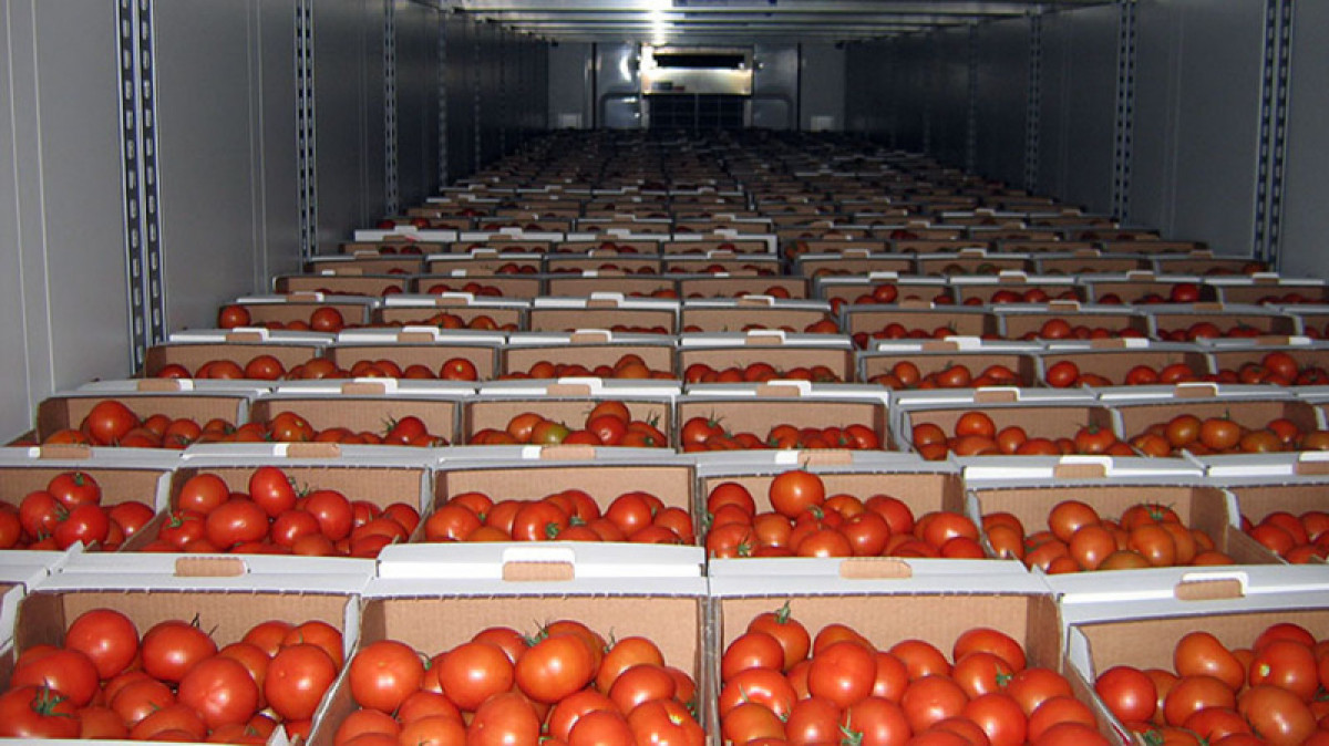 иллюстративное