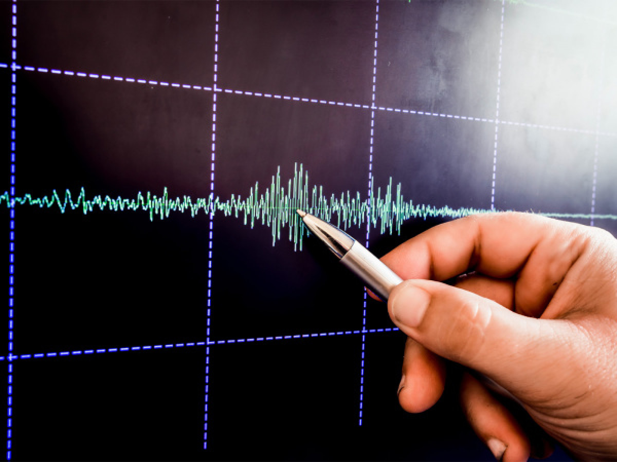 иллюстративное