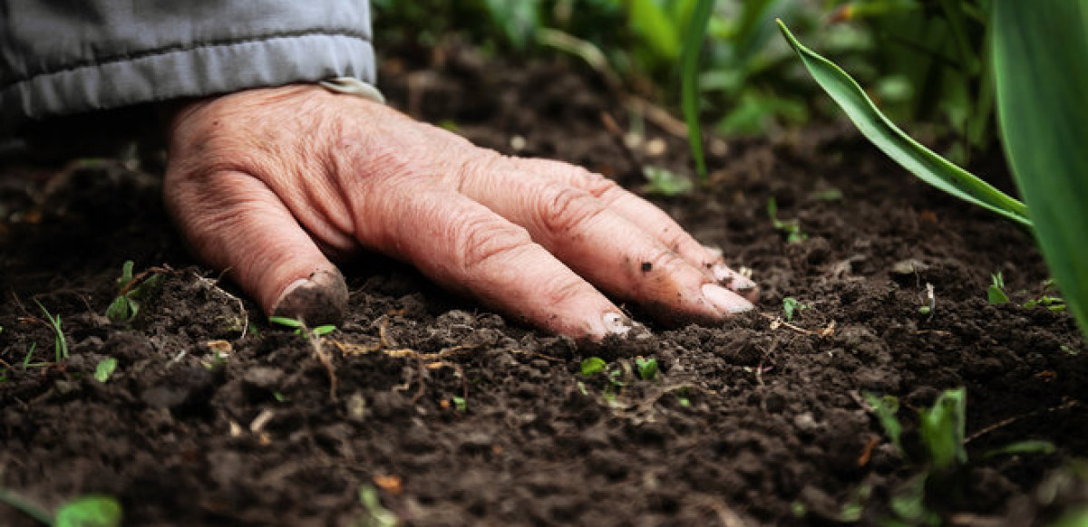 iStock/Global Images