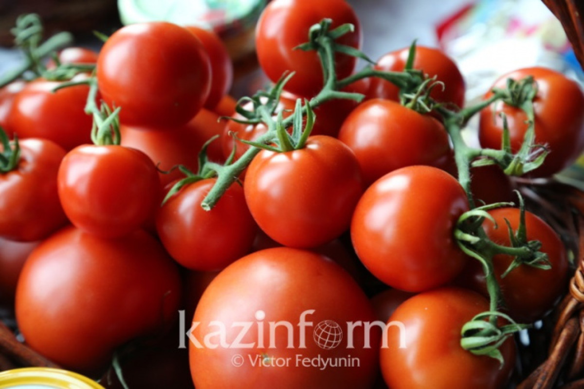 Казахстан запретил ввоз томатов из Азербайджана