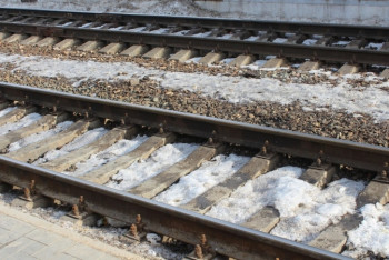 Фотография к новости: Табун лошадей попал под поезд в Павлодарской области