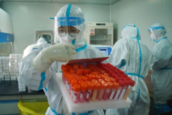 Фотография к новости: Летальность "британского" штамма коронавируса объяснили в ВОЗ