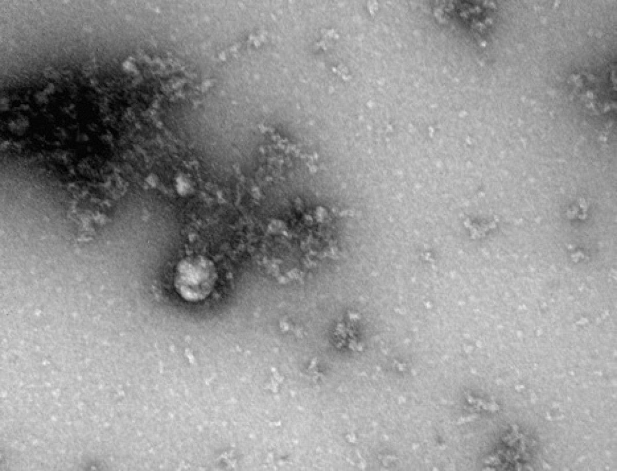 Роспотребнадзор