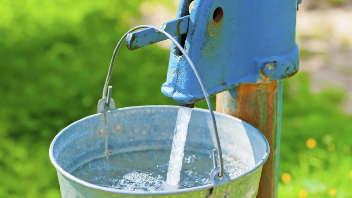 иллюстративное