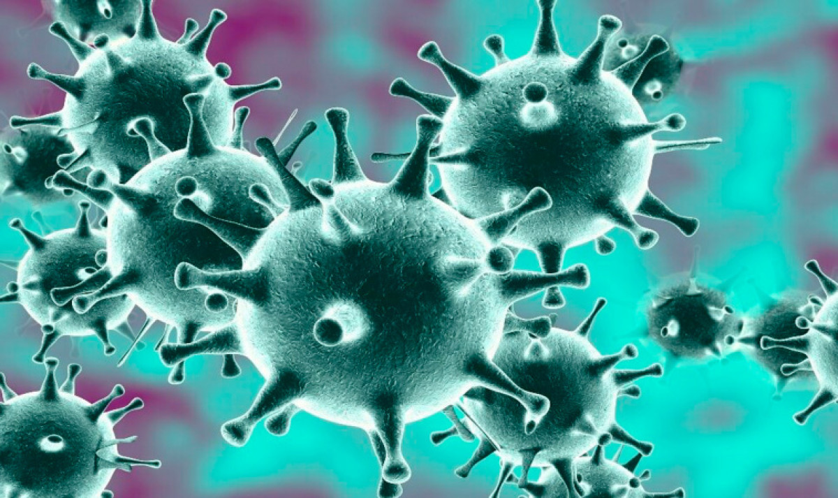 из открытых источников