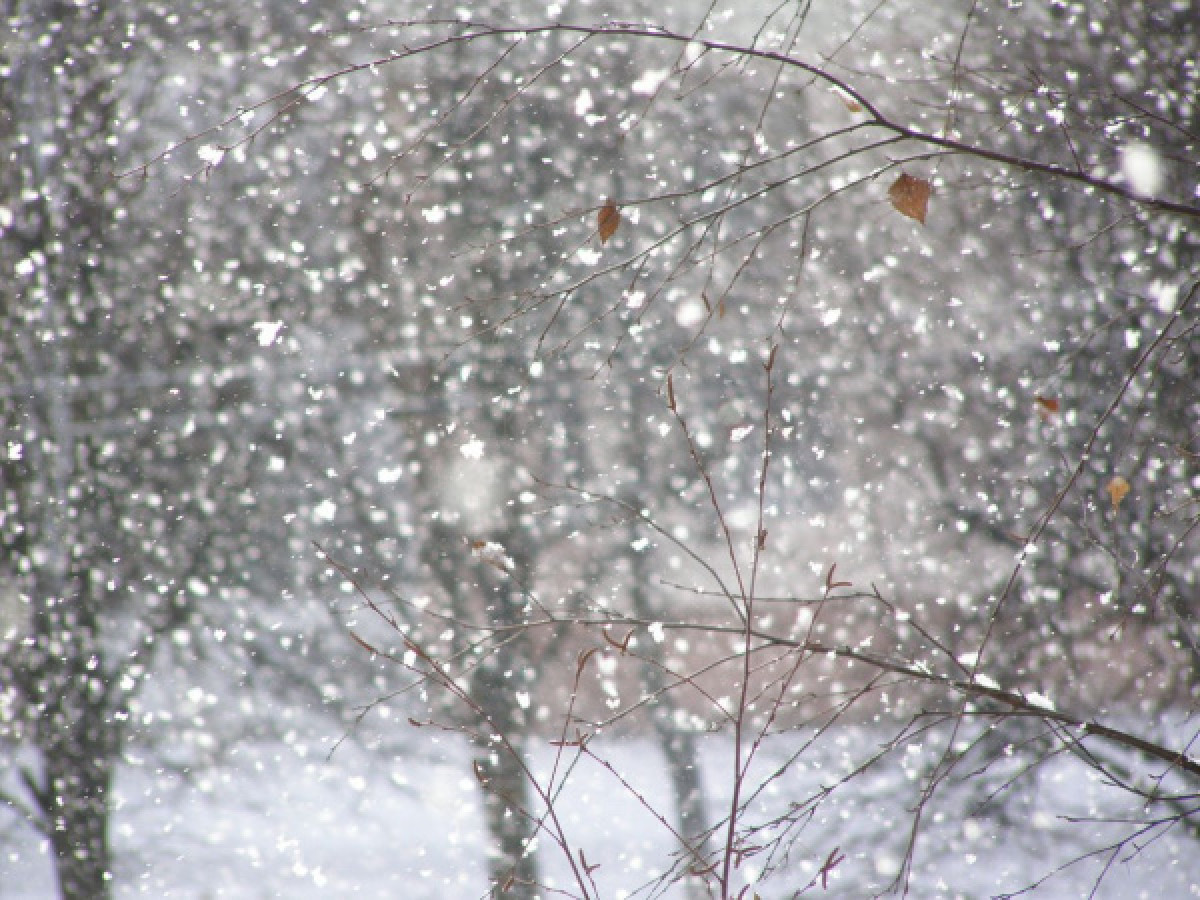 иллюстративное