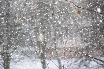 Фотография к новости: Какая погода ожидает казахстанцев 26 января
