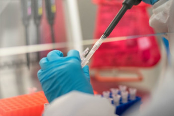 Фотография к новости: Южноафриканский штамм коронавирусной инфекции опаснее британского - вирусолог