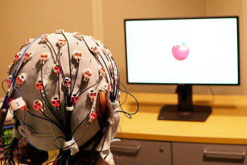 Фотография к новости: Полиция Дубая нашла убийцу по электрической активности его мозга