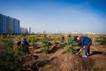 Фотография к новости: Скверы в честь врачей, спасателей и педагогов появятся в Нур-Султане