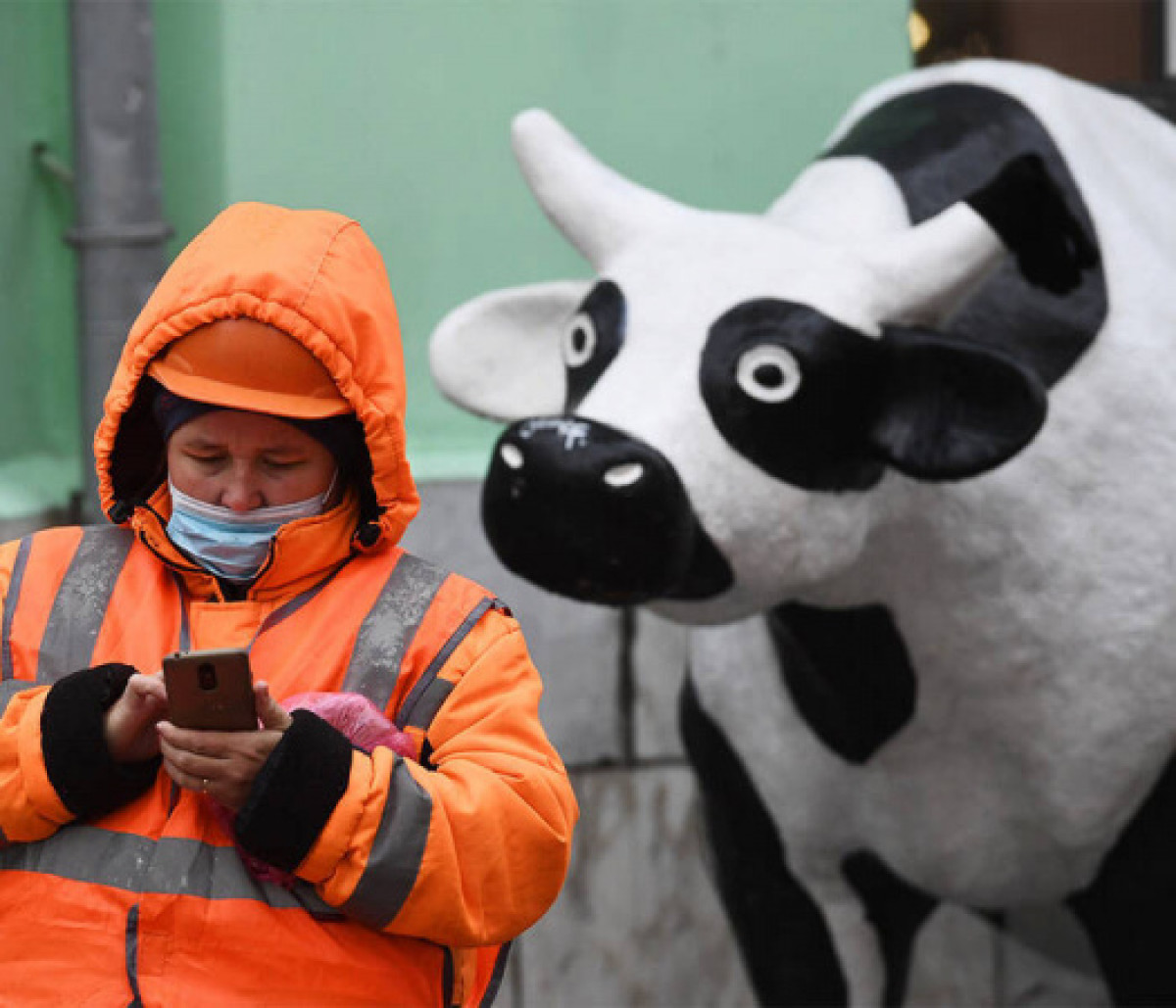 Россия с 1 февраля запретит ругаться матом в соцсетях