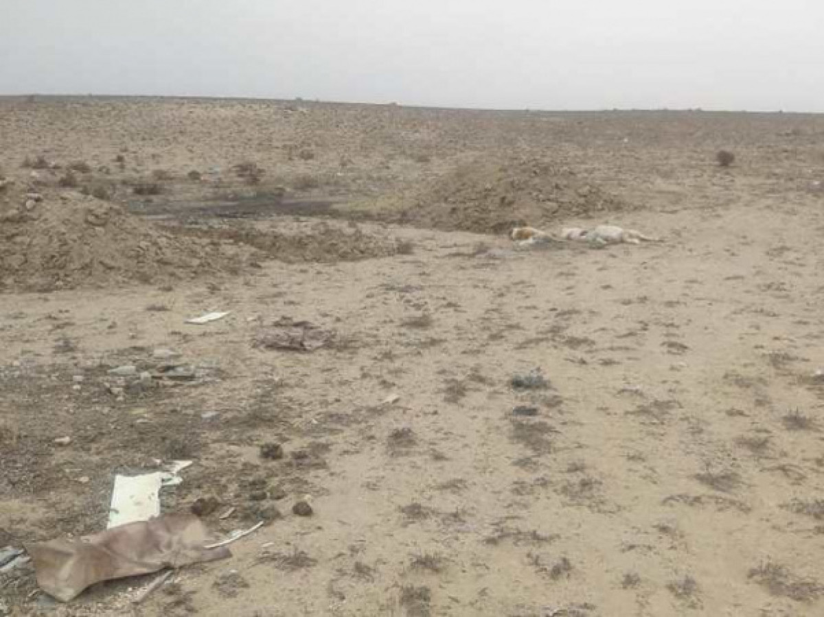 instagram/@ekomangystau