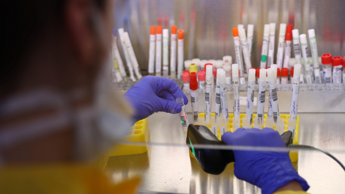 иллюстративное